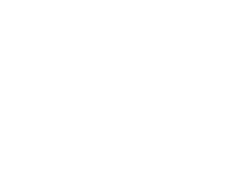 WYN Services Group