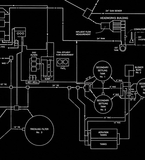 wyn-services-group-project-management-coordination Project Management & Coordination