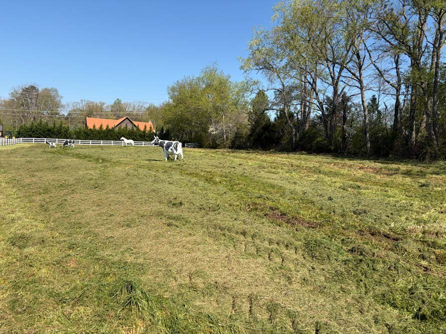 Cove Mountain RV Resort drip field after system recovery