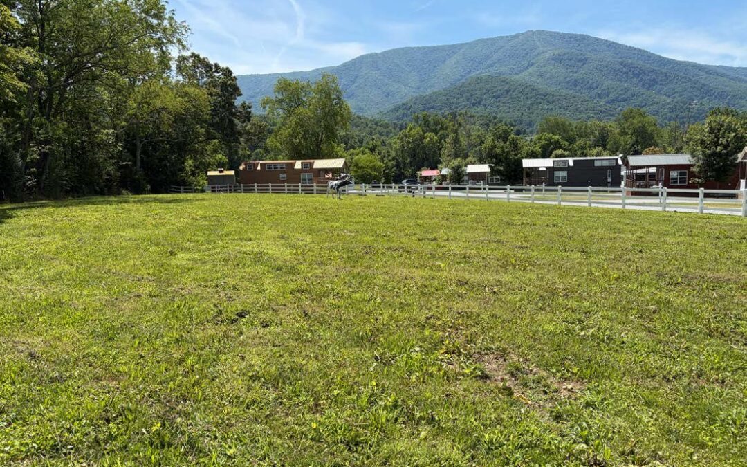Case Study: Cove Mountain RV Resort Wastewater System Recovery & Compliance